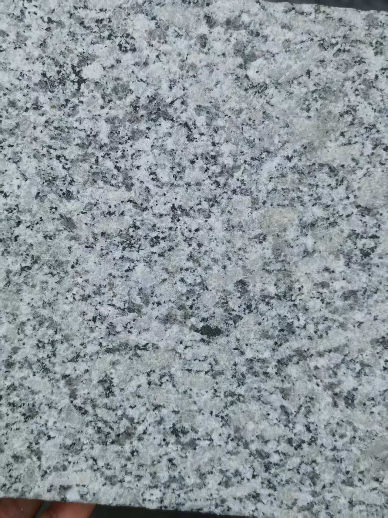台州 芙蓉白火烧面