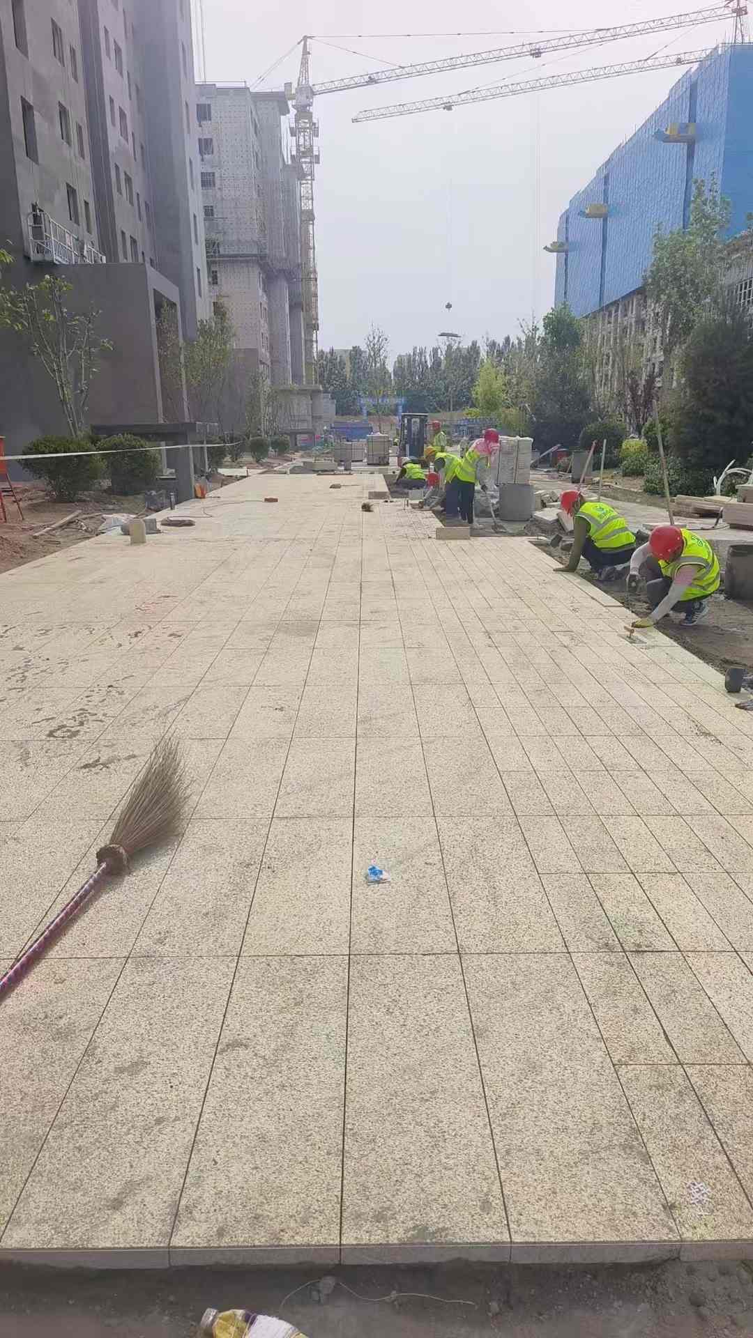 台州黄金麻荔枝面地铺案例